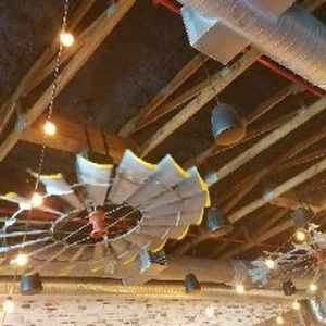 Meet your Posher, Tracey